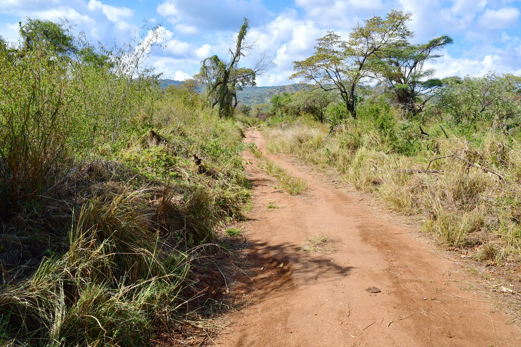 Through Omo National Park